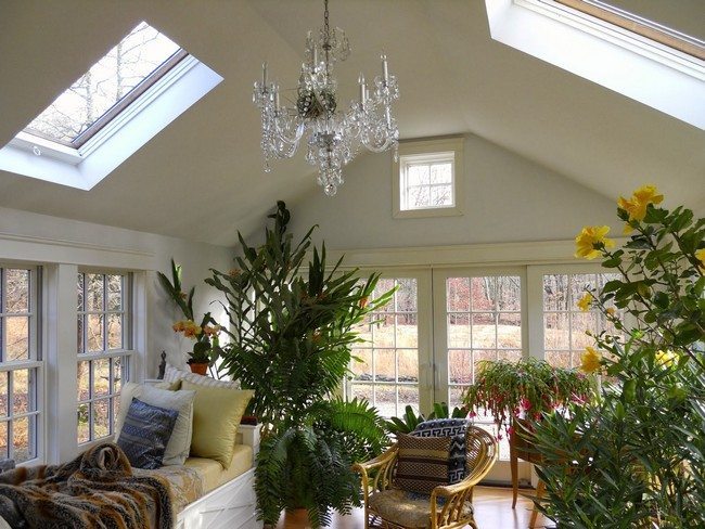 Outdoor-inspired sunroom with a variety of indoor plants