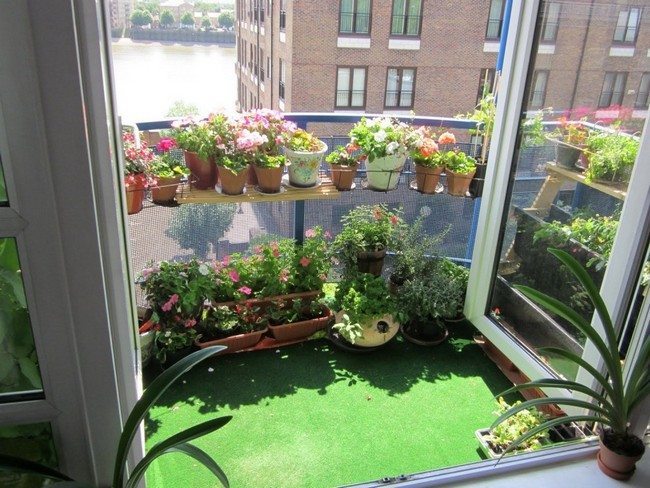 Garden-themed patio