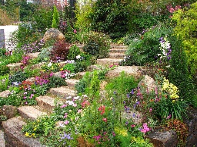 Garden with staircase pathway