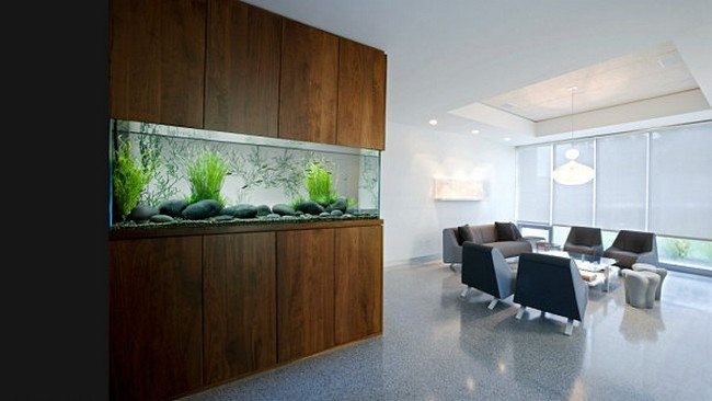 fish tank in the dining room