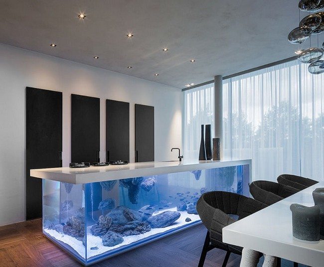 long fish tank in the dining room