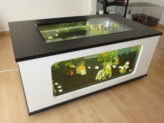 White fish tank with black top