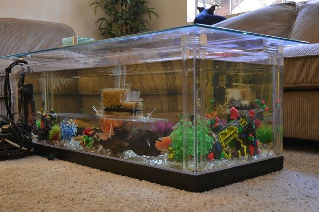 long fish tank