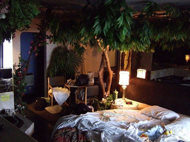 Tree with large green leaves hanging over the bed