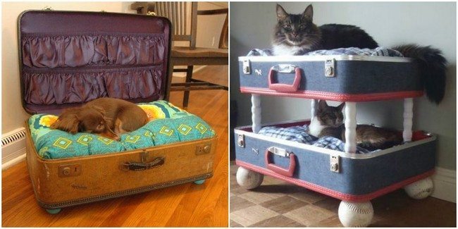 Comfortable pet beds made from repurposed suitcases