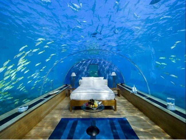Simple bed under an aquarium