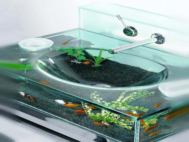 Glass sink incorporated with aquarium 