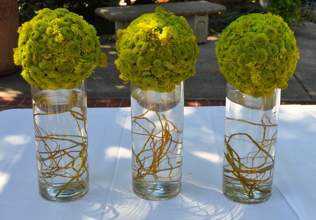 Identical glass flower vases