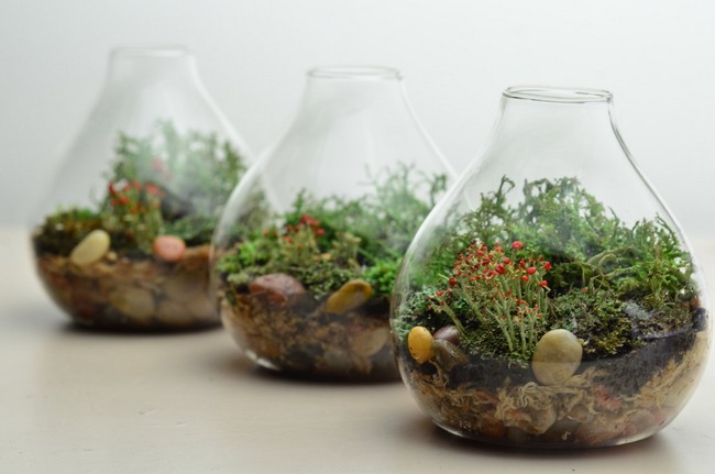 Indoor plants inside vase