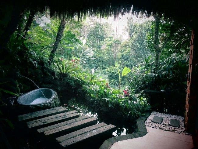 Outdoor tub in tropical rainforest, with water flowing from spring-like feature