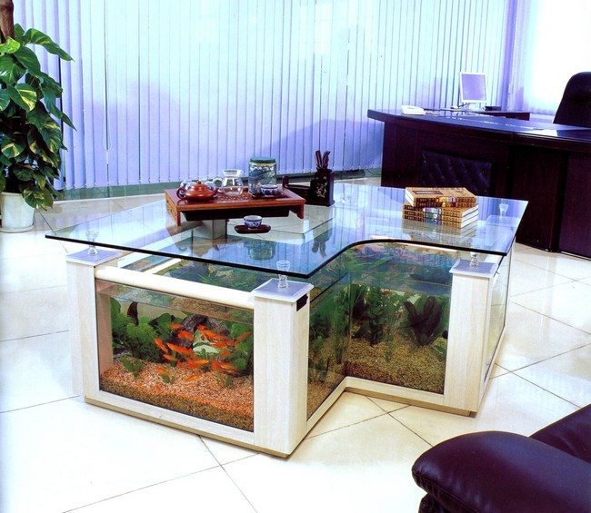 Transform the Way Your Home Looks Using a Fish Tank